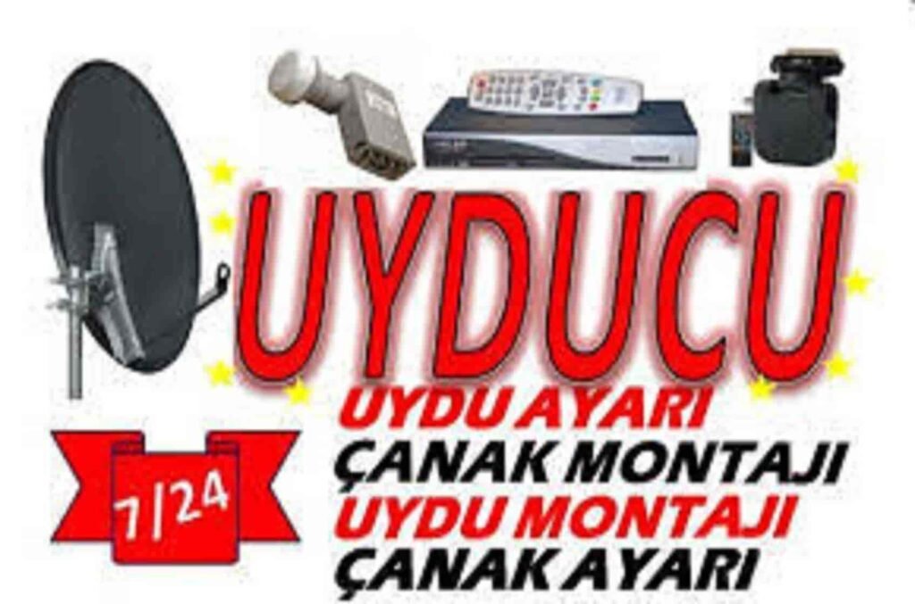 Mersin Uyducu